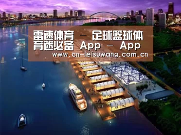 案例展示八