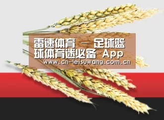 雷速体育 - 足球篮球体育迷必备 App - App Store