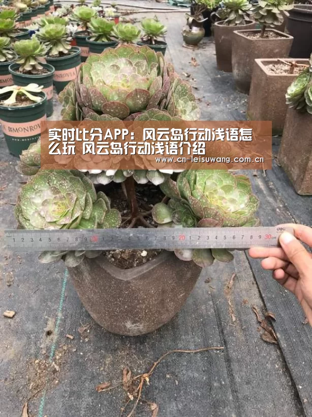 实时比分APP:风云岛行动浅语怎么玩 风云岛行动浅语介绍(图2) 雷速APP下载
